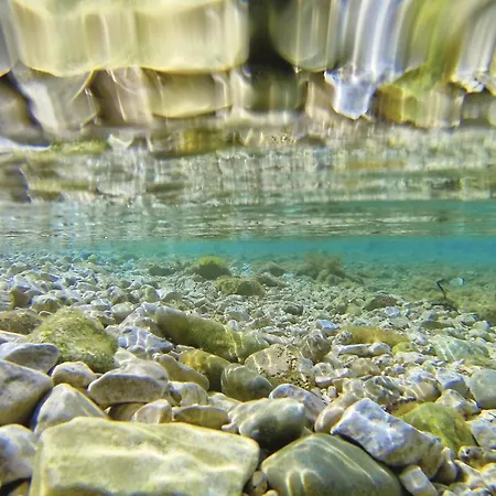 Pet Friendly In With Sauna *