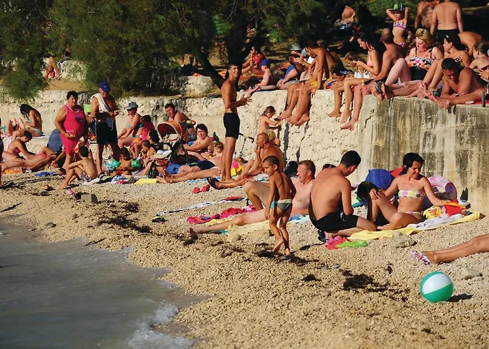 Pet Friendly In With Sauna Bibinje