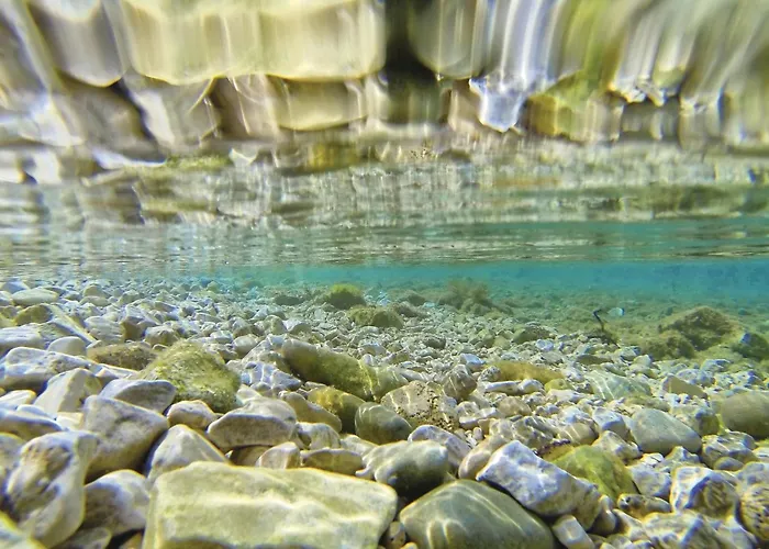 Pet Friendly In With Sauna *